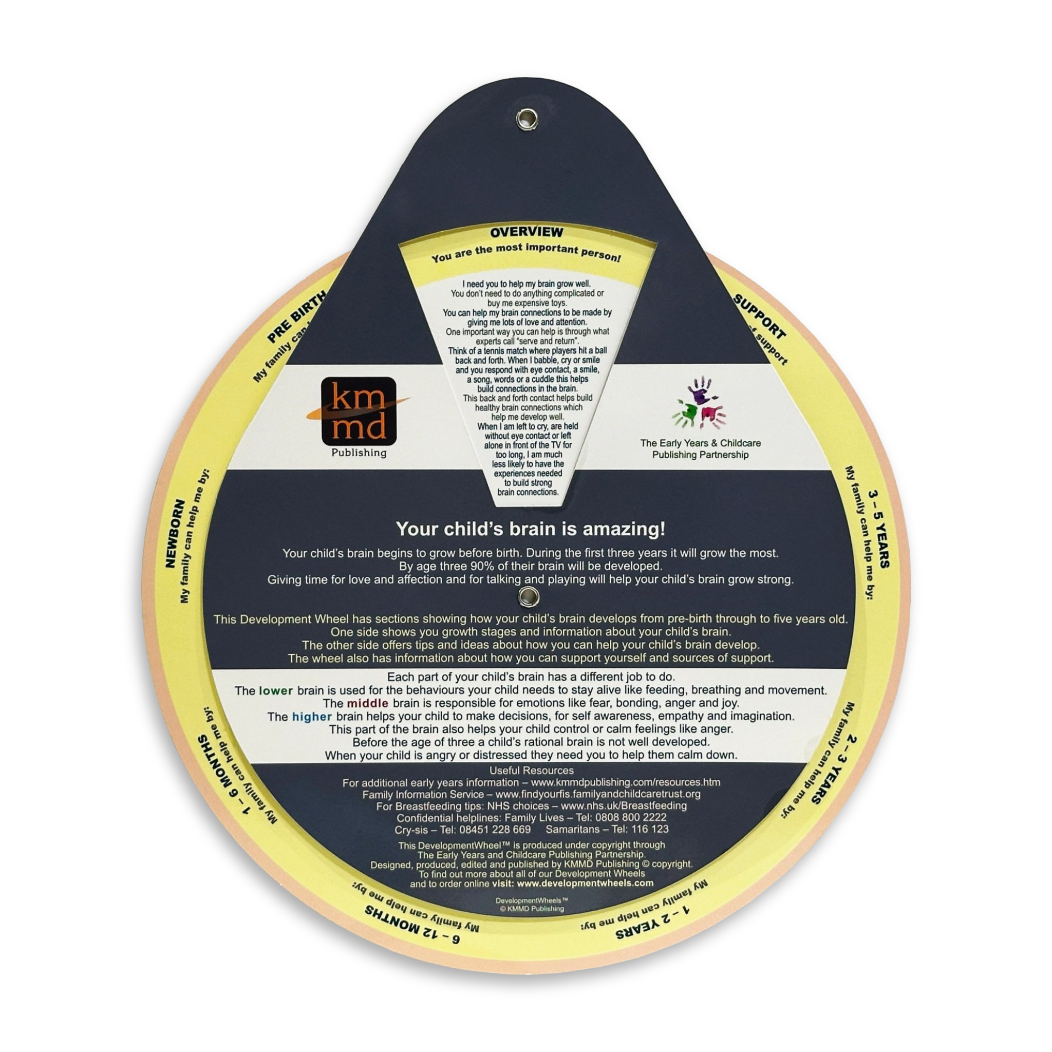 Early Years Brain Development Development Wheel