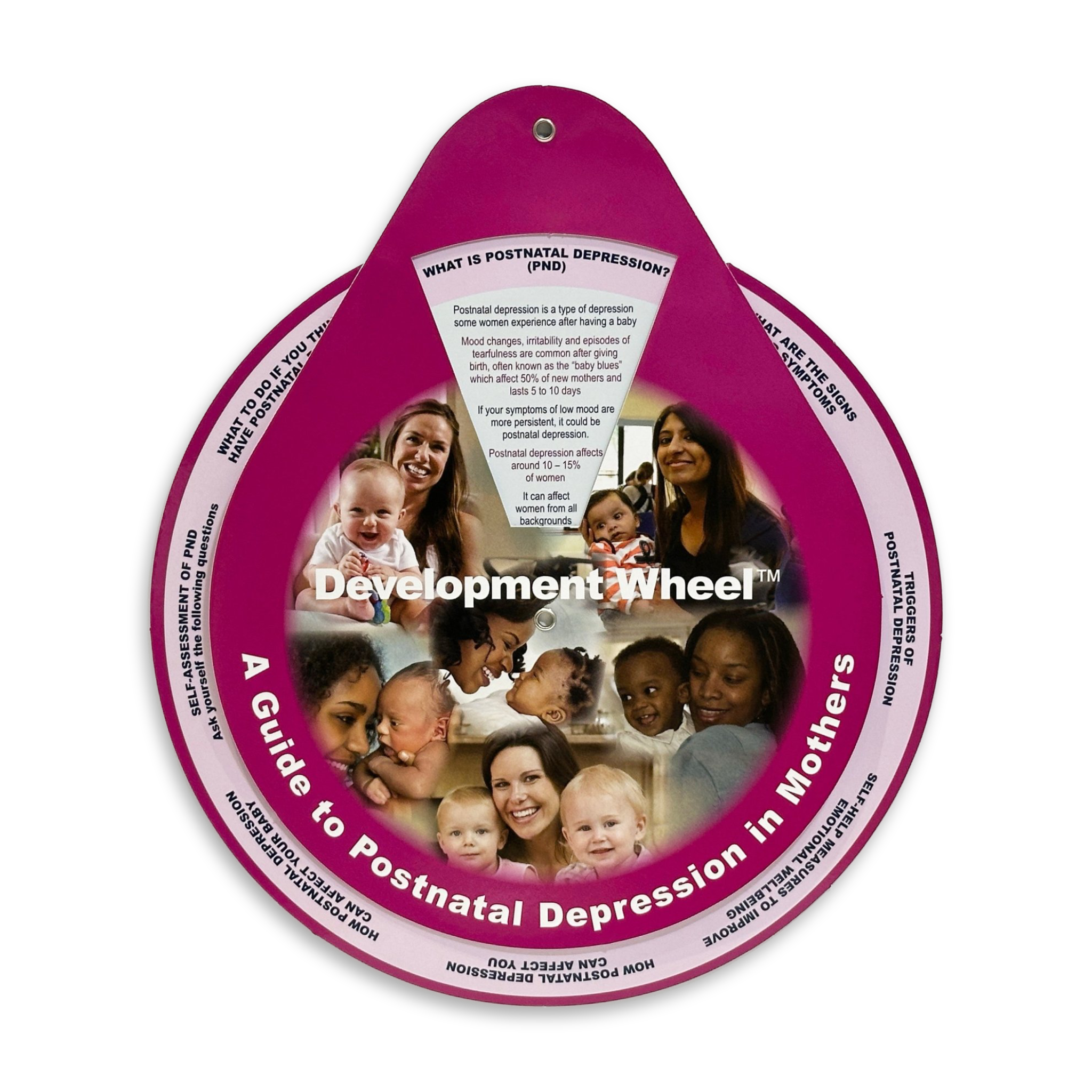 Postnatal Depression Development Wheel