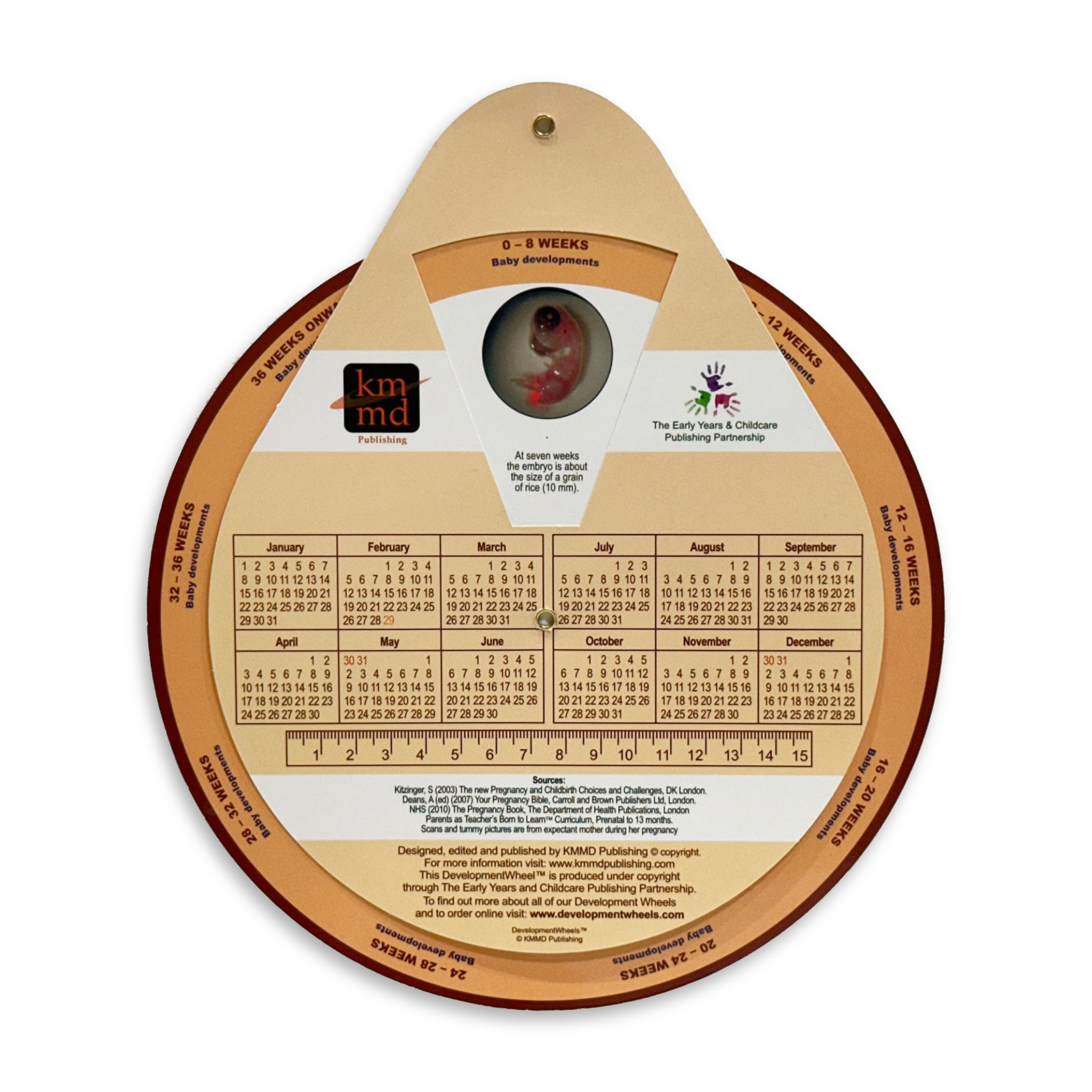 Pre-Birth Development Wheel