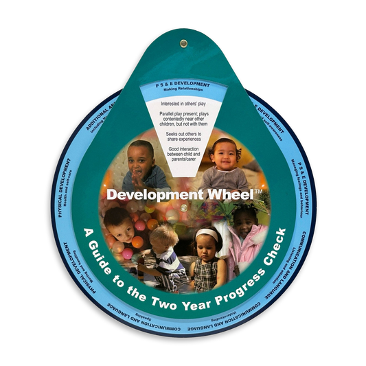 2 Year Progress Check Development Wheel - Development Wheels™