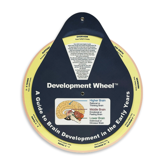 Early Years Brain Development Development Wheel - Development Wheels™