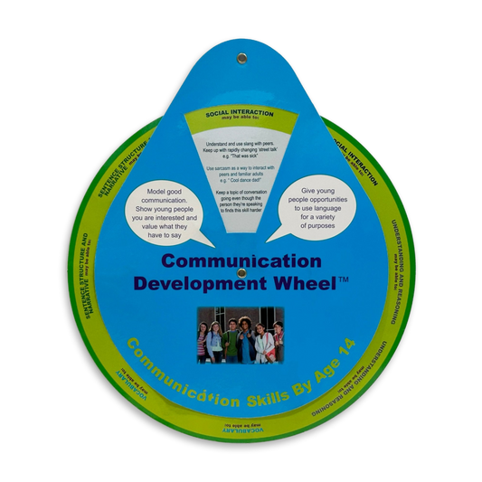 Key Stage 3 Speech & Language Development Wheel - Development Wheels™