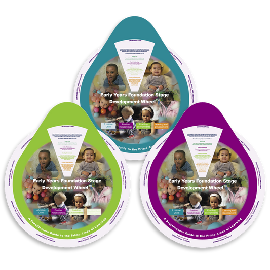 Super-size Practitioner Development Wheels – Set of 3 - Development Wheels™
