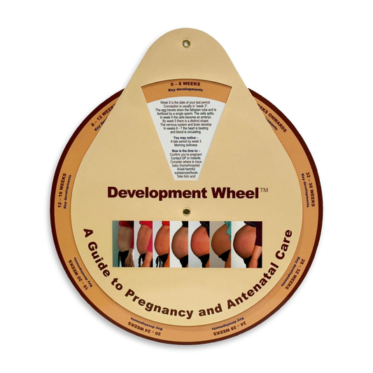 Pre-Birth Development Wheel - Development Wheels™